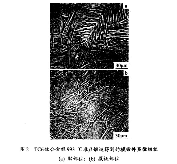 TC6鈦合金經(jīng)993℃準β鍛造得到的模鍛件顯微組織(a) 肋部位；(b) 腹板部位