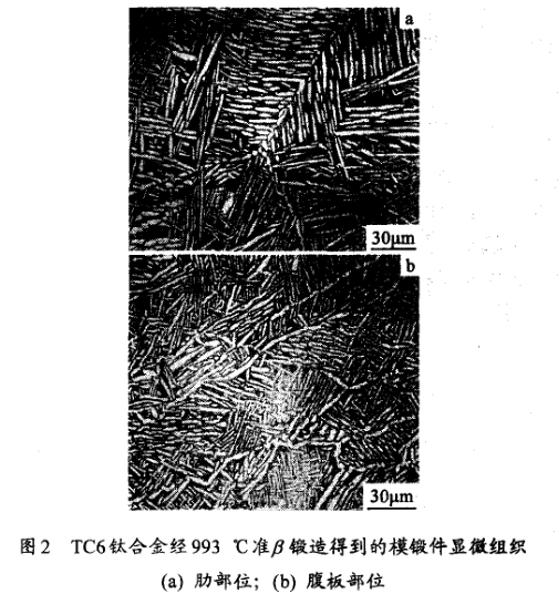 TC6鈦合金經(jīng)993 ℃準(zhǔn)鍛造得到的模鍛件顯微組織(a) 肋部位；(b) 腹板部位